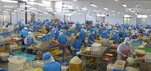 拓市場穩訂單，我國蔬菜出口逐步回暖
